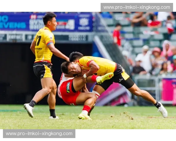 橄榄球新闻：冲刺赛场的热血与故事